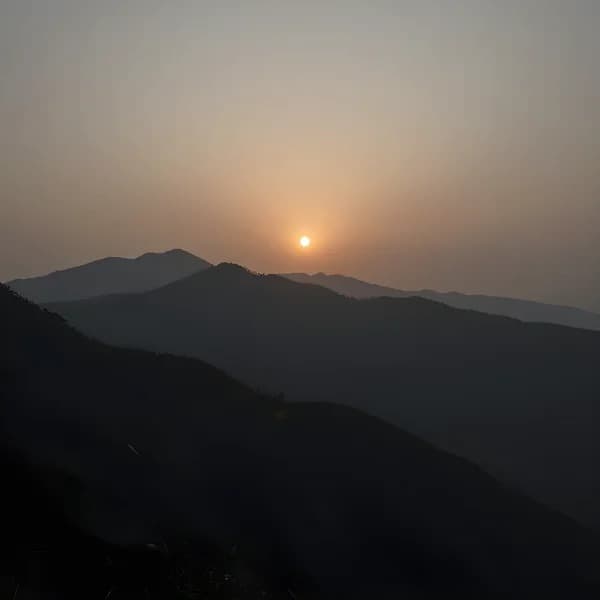 صورة محسنة بعد المعالجة بالذكاء الاصطناعي - ألوان نابضة بالحياة وتفاصيل حادة